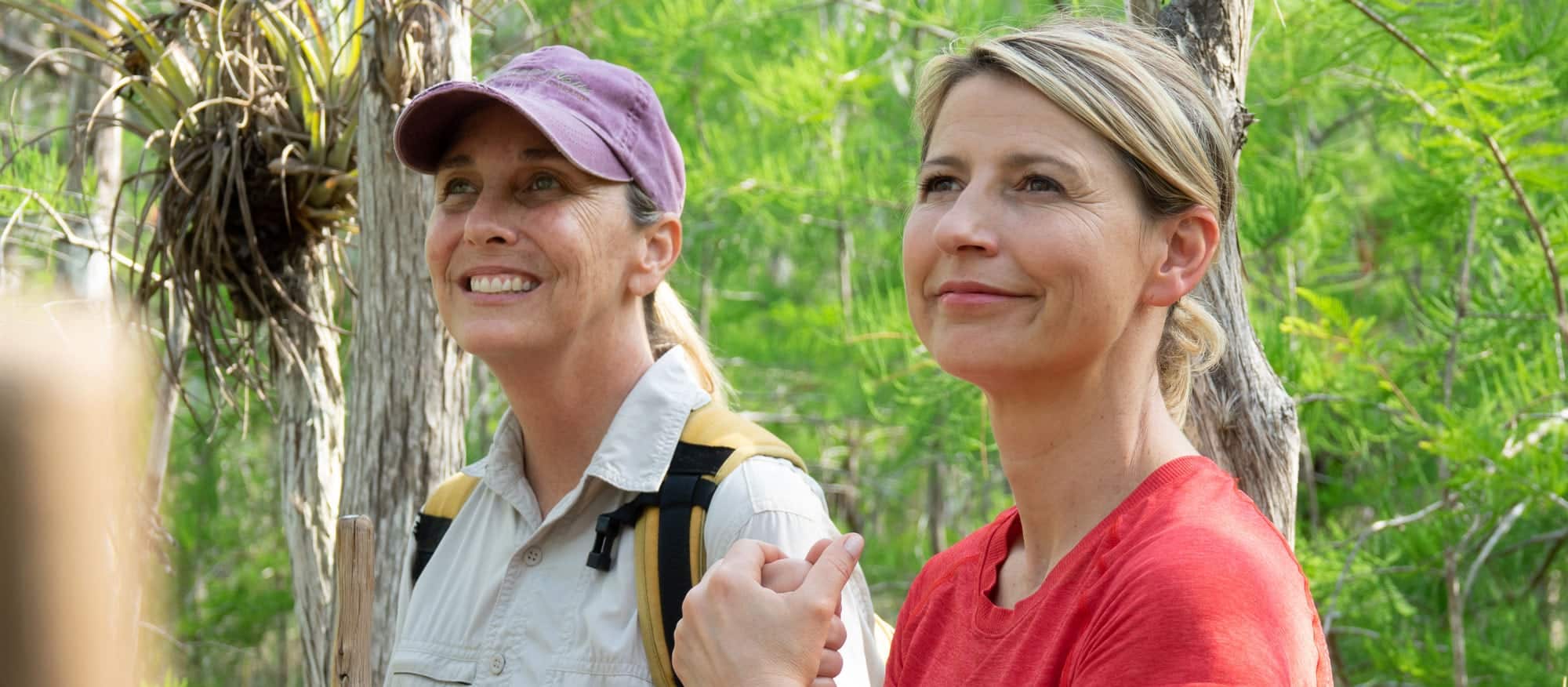Naples florida and the paradise coast - samantha brown